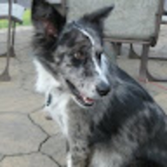 Meet your Posher, Sarah - Picture 1 of 1